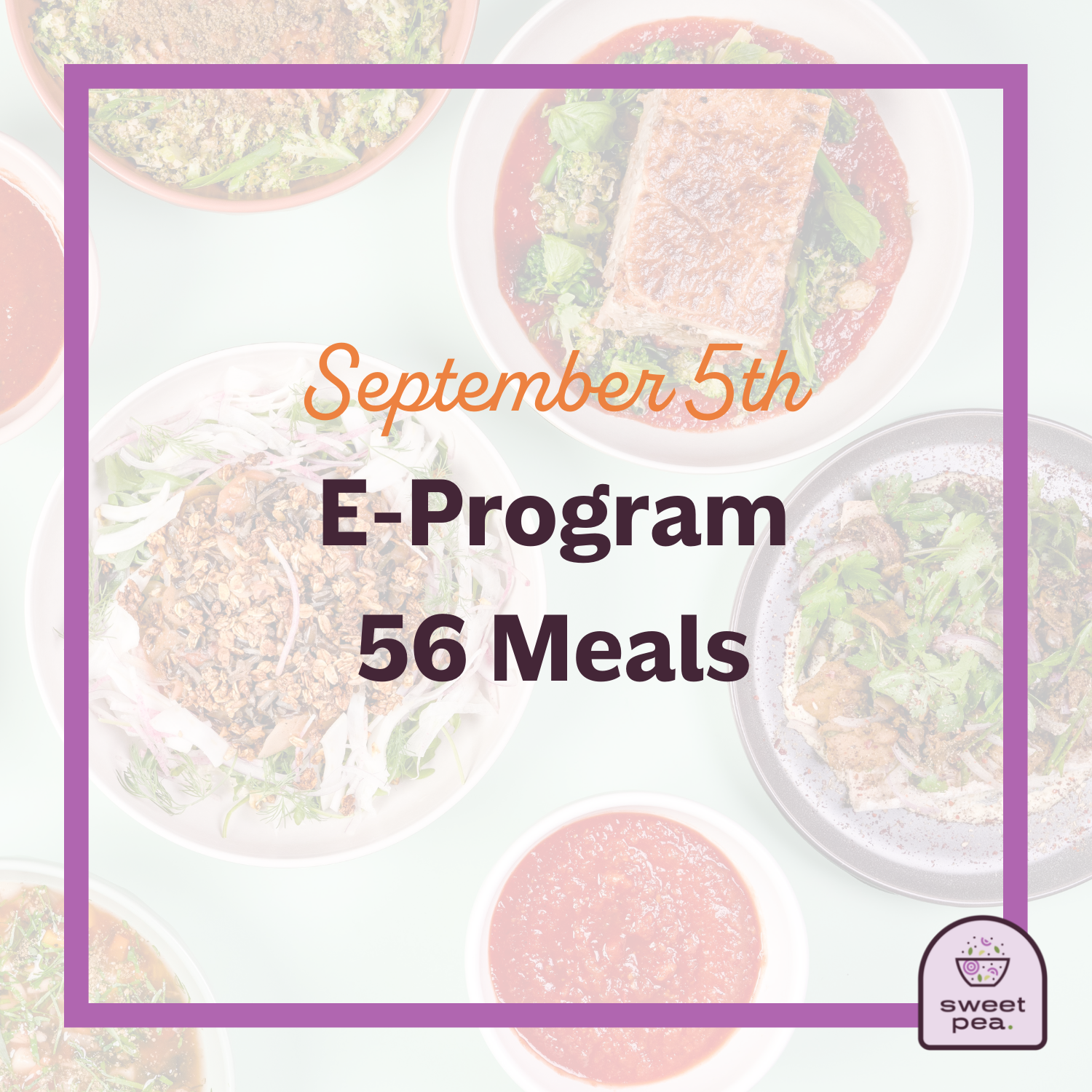 E-Program: 56 Meals (September)